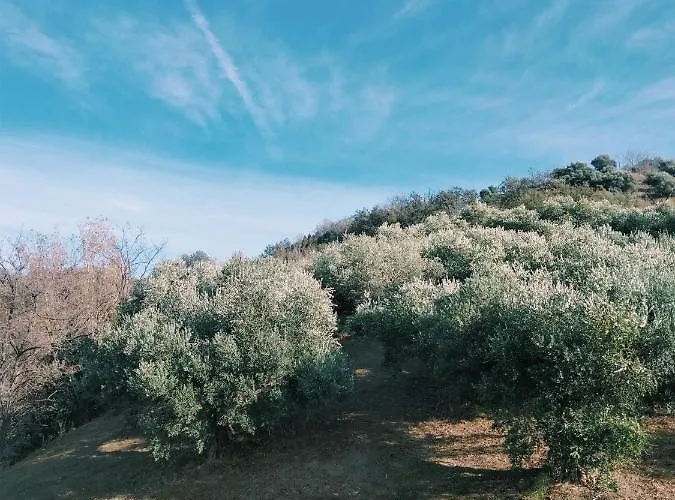 Tatil Evi Le Briganti